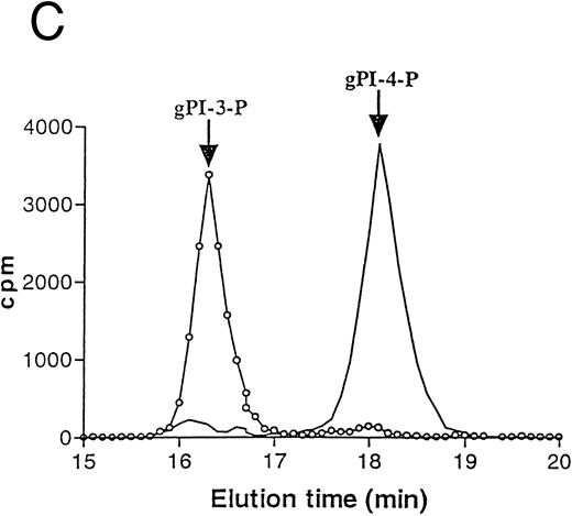 Fig. 5. TPO stimulation of HEL cells results in activation of PI 3-K. HEL cells were stimulated with 100 ng/mL TPO for 0 to 60 minutes at 37°C, lysed in PI 3-K lysis buffer, and then immunoprecipitated with anti-PY MoAb (A) or anti-p85 serum (B). Samples were then tested for PI 3-K activity as described in Materials and Methods. Data are expressed as means ± SD of five separate experiments. (C) HPLC analysis of deacylated (32P) PIP produced by an anti-p85 immunoprecipitate of HEL cells stimulated by TPO for 15 minutes (○, left peak) or by a total HEL cell lysate used as a standard source of PI-4-P ( — , right peak). Equivalent counts of (32P) PIP, obtained from an anti-p85 immunoprecipitate or total HEL cell lysates, were separated by thin-layer chromatography, deacyled, and subjected to HPLC separation, as described in Materials and Methods.