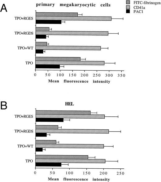 Fig. 6. WT does not affect the total levels of αIIbβ3 , but inhibits the activation state of αIIbβ3 . Primary megakaryocytic (A) and HEL (B) cells were preincubated with 100 nmol/L WT, 1 mmol/L RGDS or RGES peptides, or vehicle buffer (TPO alone) for 2 hours at 37°C and stained with anti-CD41a MoAb, PAC1 MoAb, or FITC-fibrinogen. Staining was assessed by FACScan, as described in Materials and Methods. Data are expressed as means ± SD of three to six separate experiments.