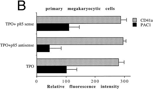 Fig. 7. Inhibition of p85 and PAC1 but not total αIIbβ3 expression upon p85 antisense treatment. HEL and primary megakaryocytic cells were treated with p85 sense or antisense oligonucleotides for 3 days, while control cells were left untreated. (A) p85 protein and β-tubulin were sequentially detected on the same filter after SDS-PAGE and Western blotting with specific antibodies. Lanes: 1, untreated HEL cells; 2, HEL cells treated with p85 sense; 3, HEL cells treated with p85 antisense. m.w., molecular weights. The expression of activated and total αIIbβ3 was analyzed by FACScan with PAC1 or anti-CD41a MoAb, respectively, in primary megakaryocytic (B) and HEL (C) cells as described in Materials and Methods. Data are expressed as means ± SD of three separate experiments.