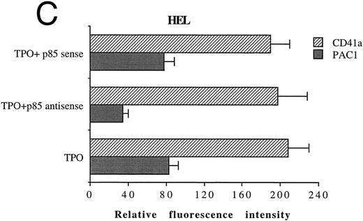 Fig. 7. Inhibition of p85 and PAC1 but not total αIIbβ3 expression upon p85 antisense treatment. HEL and primary megakaryocytic cells were treated with p85 sense or antisense oligonucleotides for 3 days, while control cells were left untreated. (A) p85 protein and β-tubulin were sequentially detected on the same filter after SDS-PAGE and Western blotting with specific antibodies. Lanes: 1, untreated HEL cells; 2, HEL cells treated with p85 sense; 3, HEL cells treated with p85 antisense. m.w., molecular weights. The expression of activated and total αIIbβ3 was analyzed by FACScan with PAC1 or anti-CD41a MoAb, respectively, in primary megakaryocytic (B) and HEL (C) cells as described in Materials and Methods. Data are expressed as means ± SD of three separate experiments.