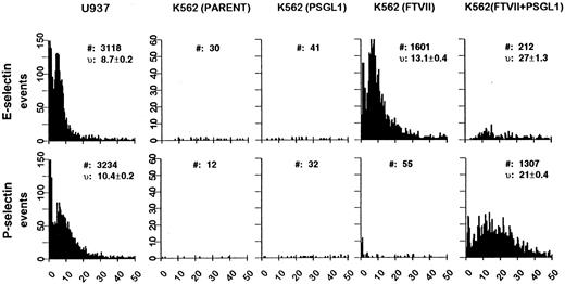 Fig. 4. Analysis of K562 transfectant rolling on E- and P-selectin under defined shear flow. Velocity distributions of the different cell lines on CHO cells transfected with E- or P-selectin. Histograms depict the distribution of velocities from 0 to 50 μm/s at 1.9 dynes/cm2 of linear shear stress. #, total events between 0 and 50 μm/s; v, mean of velocity measurements ± SE.