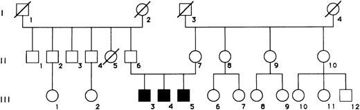 Fig. 1. Pedigree of a family with ALPS. Patients III,3, III,4, and III,5 correspond to subjects SF, NF, and MF, respectively.