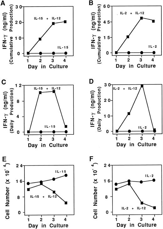 Fig. 1. Cumulative and daily IFN-γ production and survival of purified CD3−CD56+ human NK cells. (A) Cumulative NK cell IFN-γ production in the presence of 15 ng/mL IL-15 alone (•) or IL-15 and 3 ng/mL IL-12 (▪). (B) Cumulative NK cell IFN-γ production in the presence of 15 ng/mL IL-2 alone (•) or IL-2 and IL-12 (▪). (C) NK cell daily IFN-γ production in the presence of 15 ng/mL IL-15 alone (•) or IL-15 and 3 ng/mL IL-12 (▪). (D) NK cell daily IFN-γ production in the presence of 15 ng/mL IL-2 alone (•) or IL-2 and IL-12 (▪). (E) Enumeration of viable NK cells as determined by vital dye exclusion assay in the presence of IL-15 alone (•), or IL-15 and IL-12 (▪). (F ) Enumeration of viable NK cells in the presence of IL-2 alone (•), or IL-2 and IL-12 (▪). Results represent the mean cell count for duplicate wells, with <15% standard deviation. Four independent experiments showed similar results. Results were generally more pronounced in the CD3−CD56bright + subset of NK cells.