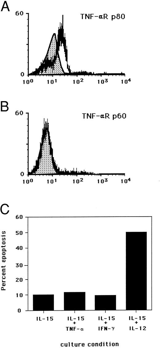 Fig. 5. Surface density expression of the (A) TNF-αR p80 and (B) TNF-αR p60 on fresh human NK cells by flow cytometry. Shaded area in each histogram represents isotype control antibody binding. Experiments were conducted with fresh NK cells from a single donor and are representative of two separate experiments. (C) Requirement for components of the IL-2R and IL-12R activation for the induction of NK cell apoptosis. Purified NK cells were cultured for 3 days in the presence of indicated cytokines at the following concentrations: IL-15 (15 ng/mL), TNF-α (5,000 U/mL), IFN-γ (10 ug/mL), and IL-12 (3 ng/mL). Results are expressed as the percent of cells undergoing apoptosis as determined by nuclear PI staining and flow cytometry. Standard deviation of the mean from duplicate wells was less than 2%. Results are representative of three individual experiments.
