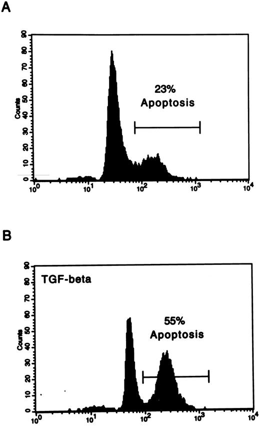 Fig. 1. TGF-β increases spontaneous apoptosis of normal peripheral blood B cells after 48 hours in culture. Apoptosis was determined using the TUNEL assay. Representative result from one of seven experiments. (A) Spontaneous apoptosis of normal B cells after 48 hours in culture (control). (B) Apoptosis of B cells with addition of 5 ng/mL TGF-β for 48 hours.