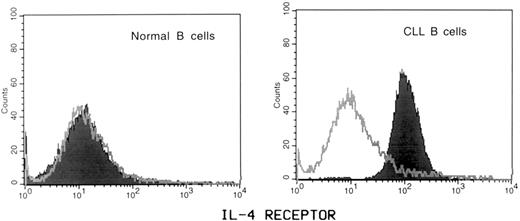 Fig. 6. IL-4 receptor expression by CLL B cells was increased compared with expression by normal B cells. Purified normal and CLL B cells were freshly isolated as described in Materials and Methods and stained with anti–CD19-PE and anti IL-4R–FITC. Constitutive expression of the IL-4 receptor (solid histogram) relative to isotype staining (open histogram) was determined by gating on CD19+ lymphocytes. Data from normal and CLL B cells are representative of three and four samples, respectively.