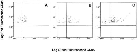Fig. 4. Flow cytometric analysis of Fas-R expression on CD34+ cells from a patient with CML stimulated with various concentrations of IFN-α. Total BM cells were cultured with or without IFN-α for 48 hours, stained with PE-conjugated CD34 and FITC-conjugated CD95 MoAb, and analyzed in the blast gate. (A) Without IFN-α; (B) IFN-α 500 U/mL; (C) IFN-α 1,000 U/mL. Gates were set based on isotypic controls.