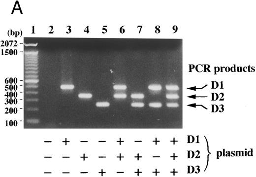 Fig. 3. Competitive PCR amplified each D-type cyclin sequence specifically and each PCR product served as a competitor. (A) Cyclin D1, D2, and D3 cDNA plasmids (+, 1 × 106 molecules per reaction; −, none) were subjected to the competitive PCR. The sizes of 100 bp DNA ladders (lane 1) are shown on the left. (B) The amount of the indicated plasmid was changed as indicated ratios over the other two and the competitive PCR was performed. Arrows indicate PCR products corresponding to cyclins D1, D2, and D3.