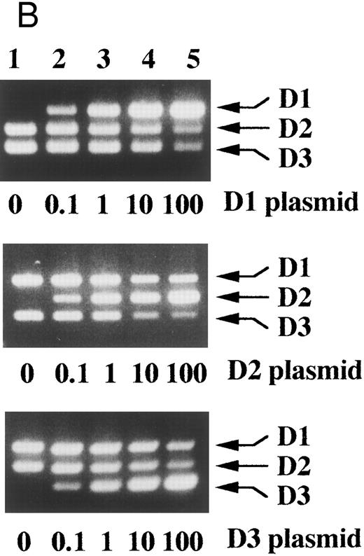 Fig. 3. Competitive PCR amplified each D-type cyclin sequence specifically and each PCR product served as a competitor. (A) Cyclin D1, D2, and D3 cDNA plasmids (+, 1 × 106 molecules per reaction; −, none) were subjected to the competitive PCR. The sizes of 100 bp DNA ladders (lane 1) are shown on the left. (B) The amount of the indicated plasmid was changed as indicated ratios over the other two and the competitive PCR was performed. Arrows indicate PCR products corresponding to cyclins D1, D2, and D3.