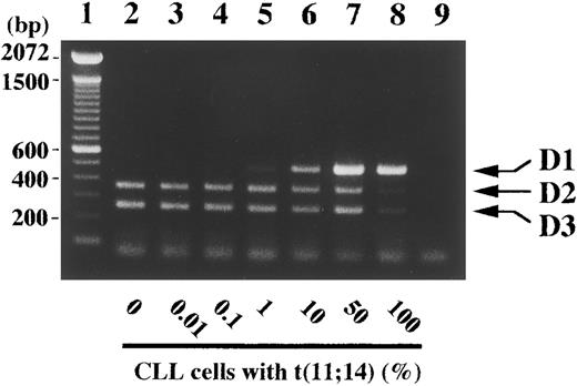 Fig. 7. Detection sensitivity of 1% tumor cells with t(11; 14)(q13; q32) within peripheral blood by competitive RT-PCR. Peripheral blood (100 μL) of a normal volunteer was mixed as an indicated percentage with mononuclear cells from a patient with chronic lymphocytic leukemia (CLL) with t(11; 14)(q13; q32) and subjected to RNA extraction and the competitive RT-PCR as described in Materials and Methods. Arrows indicate PCR products corresponding to cyclins D1, D2, and D3. Negative control of PCR without added template is in lane 9. The sizes (bp) of 100 bp DNA ladders (lane 1) are shown on the left.