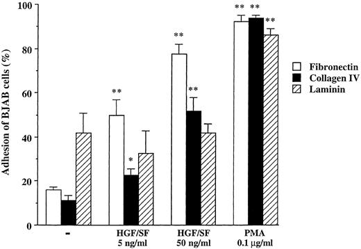 Fig. 3. Adhesion of BJAB cells to FN, CN, and laminin without or with HGF/SF (5 and 50 ng/mL) or PMA (0.1 μg/mL). Data represent the mean ± SD of triplicate samples from a representative of three experiments. **, *, Significant difference (**, P < .01; *, P < .05) between adhesion to same extracellular matrix molecule without stimuli and HGF/SF or PMA.