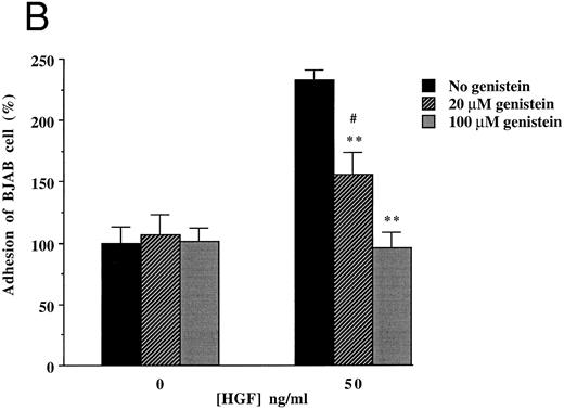 Fig. 4. Effect of monoclonal blocking antibodies (A) and genistein (B) on adhesion of c-MET positive BJAB cells to FN. Data described in (A) and (B) represent the mean ± SD of triplicates from a representative of four experiments. ** In (A), significant difference (P < .01) between adhesion to FN without blocking antibodies and with blocking antibodies; ** in (B), Significant difference (P < .01) between adhesion to FN in the presence of HGF/SF without genistein and 20 μmol/L or 100 μmol/L genistein; # in (B), Significant difference (P < .05) between adhesion to FN in the presence of 20 μmol/L genistein without and with HGF/SF.
