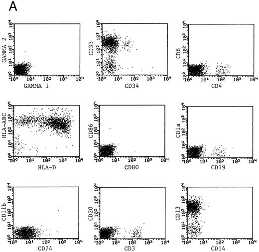 Fig. 3. Phenotype of fresh and cultured, CD1a-enriched CML cells. Freshly isolated PBMNCs from CML patients (A) or immunomagnetically enriched day 10 cells cultured for an additional 4 days (B) were stained with fluorescein- or phycoerythrin-conjugated antibodies and analyzed by flow cytometry. Cellular debris was gated out on the basis of light scatter and the plots depict fluorescence values on all viable cells. The results of one representative experiment are shown. Similar results were noted for seven other patients.