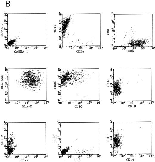 Fig. 3. Phenotype of fresh and cultured, CD1a-enriched CML cells. Freshly isolated PBMNCs from CML patients (A) or immunomagnetically enriched day 10 cells cultured for an additional 4 days (B) were stained with fluorescein- or phycoerythrin-conjugated antibodies and analyzed by flow cytometry. Cellular debris was gated out on the basis of light scatter and the plots depict fluorescence values on all viable cells. The results of one representative experiment are shown. Similar results were noted for seven other patients.