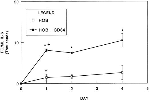 Fig. 2. Rate of IL-6 synthesis in coculture of CD34+ bone marrow cells with osteoblasts. Bone marrow CD34+ cells (1.0 × 104) were seeded directly onto confluent human osteoblast monolayers (HOB) in 96-well tissue culture plates containing 1% FBS. At 24, 48, and 96 hours, conditioned medium was collected and assayed for IL-6 by ELISA. Data from a representative of three independent experiments are presented as the mean ± standard deviation for triplicate determinations. *Significant difference from no CD34+ (HOB). +Significant difference from previous time point to a statistical significance of P < .05.