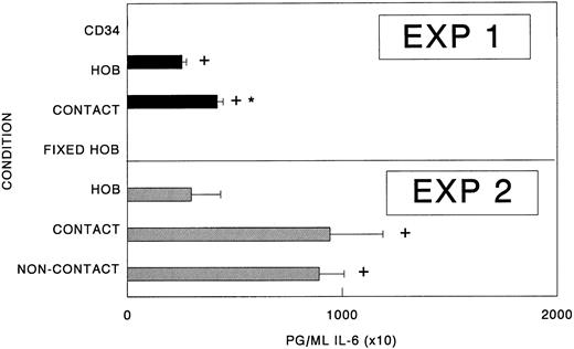 Fig. 4. Cell- to-cell contact is not required for elevated IL-6 synthesis. CD34+ bone marrow cells (CD34+; 1.0 × 104) were seeded either directly onto confluent osteoblast monolayers (HOB; contact cultures), the top chamber of dual-chambered 24-well plates with confluent primary human osteoblasts in the bottom chamber (noncontact), or alone (CD34+) in Ham's F12/DMEM (1:1 vol/vol) containing 1% FBS. In some cases, 2% paraformaldehyde was used to mildly fix the osteoblasts before the initiation of coculture experiments (fixed HOB). At 96 hours, conditioned medium was collected and assayed for IL-6 by ELISA. Data from a representative of three experiments are presented as the mean ± standard deviation for triplicate determinations. *Significant difference from HOB. +Significant difference from CD34+ or fixed HOB cultures to a statistical significance of P < .05.