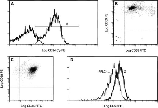 Fig. 1. Expression of CD55 and CD59 antigens on CD34+ cells derived from normal BM. CD34+ cells were separated using an affinity column and stained with Cy-PE conjugated anti-CD34 MoAb (A) and with PE-conjugated anti-CD59 and FITC-conjugated anti-CD55 MoAb (A). Cells were gated as indicated in (A) and then analyzed as shown in (B). When CD34-purified cells were stained with PE-conjugated anti-CD59 and FITC-conjugated anti-CD34 MoAbs. (C) CD59 expression on CD34+ cells before PPLC digestion. Specificity of CD59 staining for GPI-anchored form was confirmed by PPLC-digestion. After 20 minutes of PPLC treatment, PE-fluorescence, indicating expression of CD59, was measured (D). (A) Log Cy-PE fluorescence intensity versus cell number; (B) and (C) log PE fluorescence intensity versus log FITC fluorescence intensity; (D) log PE fluorescence intensity versus cell number.