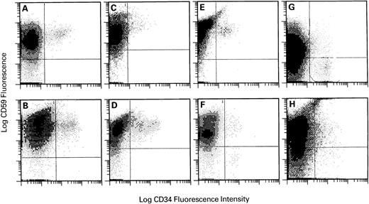 Fig. 2. Expression of CD59 on BM CD34+ cells derived from normal volunteers and patients with AA or PNH. (A and B) Normal volunteers; (C through F ) patients with AA; (G and H) patients with PNH. Log PE fluorescence intensity versus log FITC fluorescence intensity is plotted. Gates were set based on the isotypic controls.