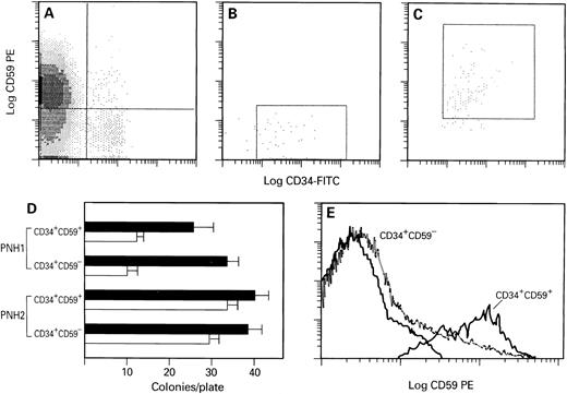 Fig. 5. Colony formation by CD34+CD59+ and CD34+CD59− cells derived from BM of patients with PNH. (A) Flow cytometric analysis of a BM sample used for fluorescence-activated cell sorting. (B and C) Results of sorting for CD34+CD59− cells (B) and CD34+CD59+ cells (C). (D) Colony formation by CD34+CD59+ and CD34+CD59− cells. After sorting, cells were placed in methylcellulose supplemented with growth factors and were cultured for 14 days, and colonies with 50 or more cells were scored. Bars represent erythroid (black) and myeloid (white) colony formation by 2 patients with PNH. Sorted cells were plated in duplicate dishes. For fluorescence-activated cell sorting analysis, cells from two plates were pooled. (E) Flow cytometric analysis of progeny derived from cultures of CD34+CD59+ and CD34+CD59− cells. Cells were washed out from methylcellulose cultures and stained with anti-CD59 MoAb. Log red fluorescence intensity versus cell number is plotted.