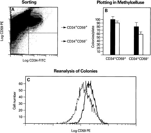 Fig. 7. Analysis of CD34+CD59− CD34+CD59+ cells from a normal volunteer. Cells were sorted based on the expression of CD34 and CD59 antigen (A) and placed in methylcellulose. After 2 weeks, the colonies were counted, and the cells were washed out of methylcellulose and stained with MoAbs directed against CD59 antigen (B). Bars represent erythrocyte (black) and myeloid (white) colony formation. (C) A histogram of progeny CD34+ derived from CD59+ (solid line) and CD34+ CD59− (broken line) is shown. Log red fluorescence intensity versus cell number is plotted.