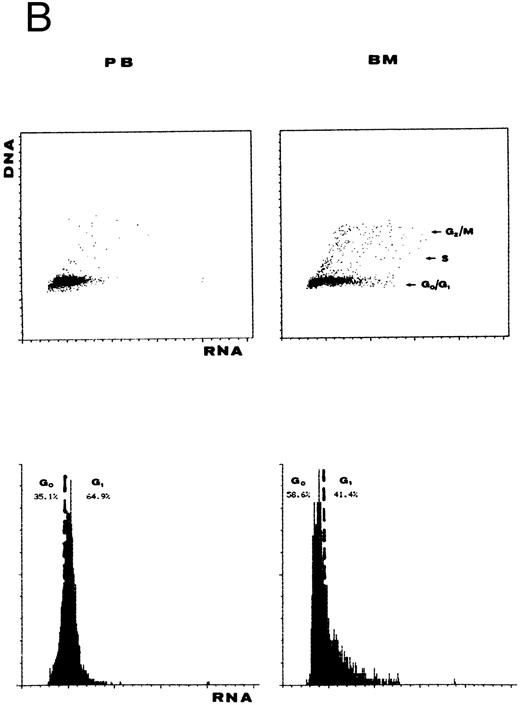 Fig. 3. Combined DNA/RNA analysis of normal PB lymphocytes (A; control) and primed PB and steady-state BM CD34+ cells from the same healthy donor (B). All PB CD34+ cells were found in G0/G1 with 64.9% of cells being in G1-phase with a low RNA content. Conversely, cell-cycle distribution of BM sample is as follows: G0 , 51.8%; G1 , 36.6%; S, 10.4%; and G2M, 1.2%. The numerical results reported in the lower panels of the figure represent the sum of PB and BM cells found in G0 + G1-phase, normalized to 100%.