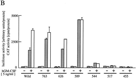 Fig. 2. Analysis of activation of egr-1 and c-fos promoters through various hGMR mutants in BA/F3 cells. egr600CAT plasmid and c-fos-luciferase plasmid were transfected to BA/F3 cells expressing the wild-type hGMR;ga subunit and mutant ;gbc. Mutants of ;gb subunit are schematically shown in (A). CAT activities (▨) or luciferase activities (;bb) induced by hGM-CSF were analyzed as described in the Materials and Methods. (B) The C terminus truncated mutants from amino acid positions 455 to 763, or (C) internal deletions of either box1 or box2 of wild-type ;gbc or phenylalanine substitution of tyr577 of ;gb589 or wild-type ;gbc were used.