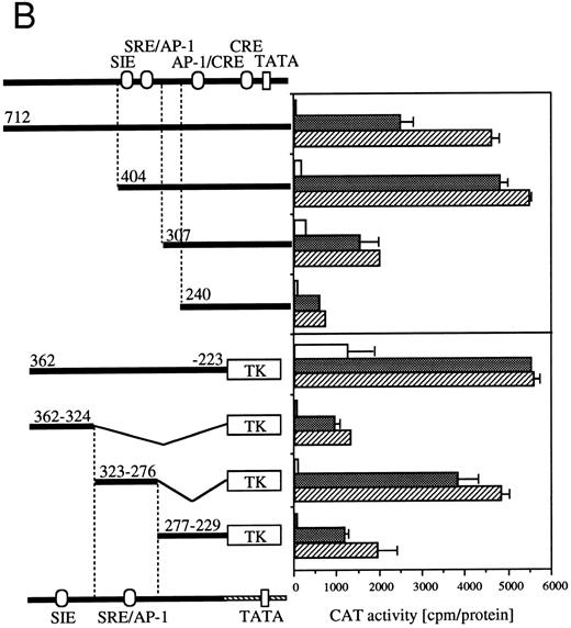Fig. 4. Requirement of cis-sequence of egr-1 and c-fos promoter for IL-3=n or GM-CSF=ninduced transcriptional activation. (A) Various egr-1 promoter CAT constructs were transfected into BA/FGMR cells and cells were stimulated with either mIL-3 or hGM-CSF. (B) Upper panel: plasmids with various lengths of the c-fos promoter fused to the CAT coding region were transfected into BA/FGMR cells. The CAT activities induced by mIL-3 or hGM-CSF were analyzed by diffusion analysis. Lower panel: CAT activities induced by IL-3/GM-CSF in BA/FGMR cell of the c-fos promoter fragments fused to TK-minimal promoter and CAT coding region were analyzed as described. CAT activities induced by mIL-3 () or hGM-CSF (▨) were analyzed by diffusion analysis. (;bb) CAT value of unstimulated cells (A and B).