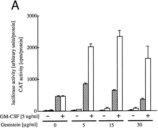 Fig. 5. Effects of the tyrosine kinase inhibitor genistein on egr-1 and c-fos promoter activities in BA/FGMR cells. (A) egr600CAT and c-fos-luciferase plasmids were transfected into BA/FGMR cells and the indicated concentrations of genistein were added to cells 30 minutes before stimulation. hGM-CSF=ninduced CAT activities (▨) and luciferase activities (;bb) were analyzed as described in the Materials and Methods. (B) Effects of genistein on various c-fos-CAT plasmid activities. The c-fos-TK-CAT plasmids were transfected into BA/FGMR cells and the effects of genistein were analyzed. The white bar indicates CAT value of unstimulated cells, and GM-CSF=ninduced CAT activities with () or without (▨) genistein were represented.