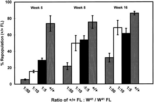 Fig. 3. Demonstration of a time-dependent loss in competitive repopulating ability of W41/W41 FL CRUs by comparison with their +/+ FL counterparts. +/+ FL cells (5 × 104) were injected into irradiated recipients either alone or together with increasing numbers of W41/W41 FL cells in the ratios shown. Percentage of repopulation refers to the proportion of circulating WBCs derived from the injected +/+ cells at different times after transplantation. Results from two experiments have been pooled to calculate the mean ± SEM values shown (n = 6 to 14 animals per group). The differences between the percentage of repopulation values by +/+ FL cells after 5, 8, and 16 weeks in mice that received only +/+ FL cells are not significant (P < .05). The differences between the percentage of repopulation values by +/+ FL cells after 8 and 16 weeks in mice that received W41/W41 FL cells as well as +/+ FL cells are significantly different from the values obtained in the corresponding groups after only 5 weeks (P ≤ .002).