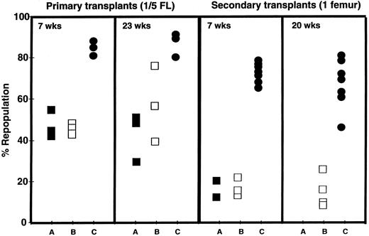Fig. 4. The extent of lymphomyeloid repopulation derived from an original FL transplant at the times shown in the PB of primary (1°; left panels) and secondary (2°; right panels) recipients of FL cells obtained from embryos produced from the mating of two W42/+ parental mice. Each 1° recipient was injected with 20% of the cells from an individual FL, and each 2° recipient was injected with one femur equivalent of cells pooled from the BMs of the corresponding group of 1° recipients. The following symbols are used to identify the assumed genotypes of the original FL: ▪, W42/W42 ; □, W42/+; and •, +/+.