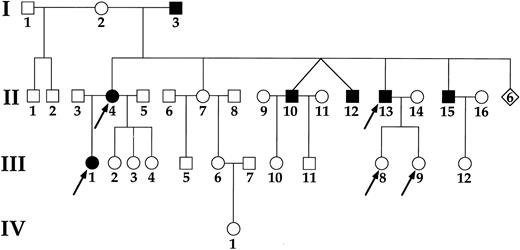Fig. 1. Family pedigree. Male (□) and female (○) family members with (▪, •) and without (□, ○) bleeding symptoms and the individuals studied () are shown. Six individuals who died at an early age of unknown causes are indicated (⋄).