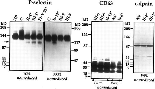Fig. 5. Immunoblot analyses of platelet P-selectin, CD63, and calpain. Samples of WPL and PRPL from patients (*), unaffected family members, healthy controls (C), the normal pool (NP), and an individual from the first family (F1) were separated using nonreduced SDS-PAGE and analyzed by immunoblotting with polyclonal anti–P-selectin, monoclonal anti-CD63, and monoclonal anticalpain. The arrow indicates degraded P-selectin. Intact calpain heavy chain migrated slightly higher than the reported 80-85 kD molecular weight253738 in the 4% to 8%/15% gradient gels.