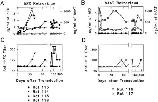 Fig. 2. Expression of retroviral vectors hFX-514 or hAAT-540B and production of anti-hFX antibodies in vivo in rats. (A) hFX and hAAT levels in hFX-514–transduced rats. Rats were treated with a 70% partial hepatectomy. Twenty-four hours later, 4 mL containing ∼12 × 106 cfu of hFX-514 was injected into the portal vein. Plasma was analyzed for hFX (solid symbols) and hAAT (open symbols) by ELISA. (B) hFX and hAAT levels in hAAT-540B–transduced rats . Rats were transduced with ∼2 × 106 cfu of hAAT-540B. Plasma was analyzed for hFX (solid symbols) and hAAT (open symbols). (C) Titers of anti-hFX antibodies in hFX-514–transduced rats. Plasma was initially analyzed for anti-hFX antibodies at a 1:100 dilution as described in the Materials and Methods. If the result was negative, these samples were reported as having a titer of 1:50 or less. Samples that were positive at 1:100 were diluted serially and are reported as the highest dilution at which the OD in the assay was at least twice as high as the OD observed in the same assay using a 1:100 dilution of the pretreatment plasma for that rat. Rats no. 115 and 119 had no detectable anti-hFX antibodies. Rats no. 113 and 114 had anti-hFX antibody titers of 1:100 to 1:400 at 3 weeks or later after transduction. (D) Titers of anti-hFX antibodies in hAAT-540B–transduced rats. Plasma from 540B-transduced rats was analyzed for anti-hFX antibodies as described in (C). Both rats were occasionally weakly positive in this assay.