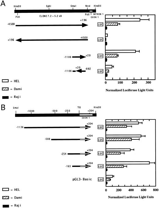 Fig. 5. Analysis of transcriptional activity of the 5′-flanking region of the PECAM-1 gene. HEL, Dami, and Raji cells were transfected with PECAM-1 promoter/luciferase reporter constructs (shown schematically on the left) containing selected segments of the 5′-flanking region of the PECAM-1 gene. Luciferase assays were conducted as described in Materials and Methods to assess transcriptional activity, which was normalized to β-galactosidase activity derived from equal transfection of a separate reporter plasmid encoding lacZ. The boundaries of the constructs are numbered relative to the transcription initiation site, and the relative 5′ → 3′ orientation of each construct is indicated by the direction of the arrow. Normalized luciferase activity present in each transfected cell line is indicated on the right. The data shown represent the mean ± SEM of three independent experiments, each performed in duplicate. (A) Orientation-specific transcriptional activity of the 5′-flanking region of the PECAM-1 gene. Note that both the longer 4,500-bp construct, as well as the shorter 1,100-bp construct are capable of driving orientation- and lineage-specific transcription of luciferase activity. (B) Localization of transcriptional activity to a core region of the PECAM-1 promoter. 5′-serially-truncated PECAM-1 promoter/luciferase constructs were assayed for luciferase activity to assess PECAM-1 promoter activity in HEL, Dami, and Raji cells as described in the text. Note that the region encompassing nucleotides −163 to +204 retains transcriptional activity in the PECAM-1–positive HEL and Dami cells and that all constructs failed to drive transcription in Raji cells.