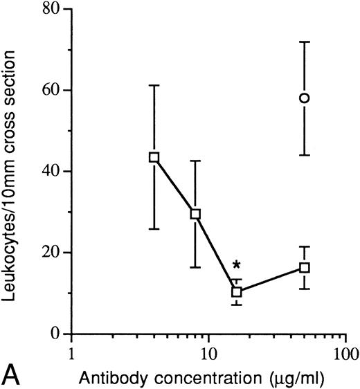 Fig. 2. Inhibition of leukocyte adhesion by infusion of the anti–P-selectin antibody (WAPS12.2) to the flowing blood. Experimental conditions are described in the legend to Fig 1, except that the infusion solutions also contained anti–P-selectin antibody or the control antibody pl48 (nonblocking antibody directed against the GPIIb subunit) or buffer alone (controls). (A) Leukocyte adhesion to platelet thrombi as determined by morphometrical analysis of cross sections. (B) Leukocyte adhesion to platelet monolayers, quantified on an image analysis system after leukocyte staining. (□), anti-P-selectin antibody WAPS12.2; (○), control antibody pl48. The control value (buffer alone) for platelet thrombi was 42.6 ± 9.8 leukocytes/10 mm cross section, and that for platelet monolayers was 2,570 ± 311 leukocytes/mm2. The values are the mean ± SEM of 4 to 19 coverslips. Comparison with control values (buffer alone) by unpaired Student's t-test: *, P < .02; **, P < .001.