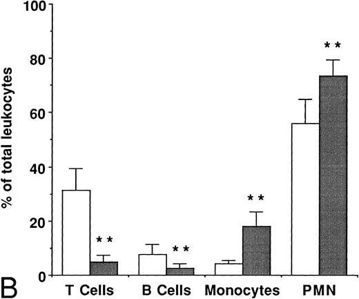Fig. 4. Quantification of monocytes, PMNs, and T and B lymphocytes adhering to platelet thrombi and platelet monolayers. The experimental conditions for the whole blood perfusions are described in the legend to Fig 1. The leukocytes adhering to platelets were detached with EDTA and fixed in 0.5% paraformaldehyde-PBS solution. The leukocyte suspension was then diluted in modified Tyrode buffer before incubation with leukocyte type-specific antibodies (see Materials and Methods). In addition, a fresh blood sample was taken at the start of the perfusion experiments and treated with FACS lysing solution before the addition of antibodies. Data (1,000 events) were acquired on an FSC versus SSC dot plot, in which the leukocyte population was gated. Using a panel of PE- and FITC-labeled leukocyte type-specific antibodies (see Materials and Methods), the leukocyte types were quantified in a FL1 (FITC signal) versus FL2 (PE signal) dot plot mode. Shown is the distribution of leukocyte types adhering to (A) platelet thrombi () and (B) platelet monolayers () in comparison with the leukocyte distribution in fresh blood samples (□). The data represent the average values ± SD of 7 donors (monolayers) and 13 donors (thrombi). Statistical analysis by paired Student's t-test: *, P < .01; **, P < .0001.