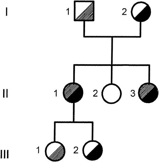 Fig. 1. Pedigree of the Finnish family. The segregation of the T → C transition in intron C and the Arg661 → Stop mutation in exon XIV is shown. , T → C intron C; , Arg 661 → stop.