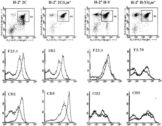 Fig. 2. Positive selection of CD4+CD8+ thymocytes from H-2k 2C mice is associated with upregulation of CD2 expression. Thymocytes from the indicated mice were stained and analyzed as described in Fig 1. FL1 = CD8 log fluorescence; FL2 = CD4 log fluorescence; X-axis = log fluorescence; Y-axis = relative cell number. The fluorescence level of the indicated molecule on gated CD4+CD8+ thymocytes with (dotted line) and without (solid line) the β2-microglobulin null mutation (β2mo) is shown.
