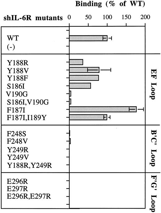 Fig. 5. Analysis of the hIL-6 binding capacity of shIL-6R mutants. Results are presented as percentages of the value obtained for WT shIL-6R. Values represent the mean of at least two independent experiments performed in duplicate. (−) uninjected oocyte-conditioned medium.