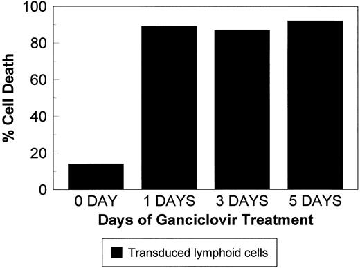 Fig. 4. Transduced lymphoid cells were cultured in the presence of 20 μmol/L GCV for 1, 3, or 5 days, at which time cells were resuspended in culture media, and the percentage of dead cells was assessed on day 5. Exposure to GCV for 1 day is sufficient for effective killing.