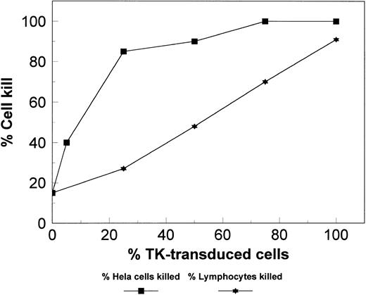 Fig. 5. Various combinations of transduced and untransduced lymphoid cell populations were cultured together with GCV. The percentage (%) of cells killed was similar to the percentage (%) of transduced cells in the culture, suggesting no additional killing by the bystander effect. Transduced Hela cells, an adherent cell line, were used as a positive control that shows the bystander effect.