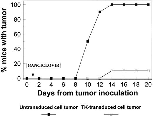 Fig. 7. Cytotoxic effect of in vivo administration of GCV was examined in mice injected with TK-transduced cells in one flank and with untransduced cells in the other flank. GCV was injected, and the animals were observed for tumor development. All 10 flanks injected with untransduced cells developed tumors (>25 mm), whereas only 1 tumor developed in flanks injected with transduced cells and reached only 5 mm in size.