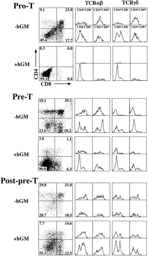 Fig. 6. Effect of hGM-CSF on differentiation of TN thymocyte precursor subsets. Pro-T (CD44+25+), pre-T (CD44−25+), and post-pre-T (CD44−25−) cells were sorted from hGMR-tg mice and transferred into 2-deoxyguanosine depleted wild-type fetal lobes, as described in the Materials and Methods, and then cultured with or without 50 ng/mL of hGM-CSF. Pro-T–cell cultures were harvested on day 23, pre-T–cell cultures on day 14, and post-pre-T–cell cultures on day 9. Harvested cells were stained for expression of CD4, CD8, and αβ- or γδ-TCR. CD4 and CD8 expression is indicated by dot plot with quadrant percentages shown. Cells within each quadrant were further analyzed for TCRαβ (middle group of histograms) and TCRγδ expression (right-hand group of histograms).