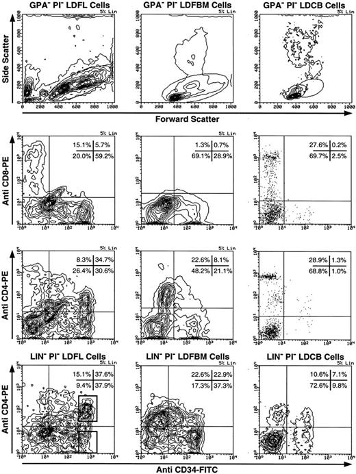 Fig. 1. Expression of CD4 by CD34+ human fetal liver, fetal BM, and umbilical cord blood cells. LDFL, LDFBM, and LDCB cells were depleted of GPA+ cells and analyzed for the expression of CD34 in combination with CD8 or CD4. The analysis of antigen expression was limited to cells with a low side scatter, containing the bulk of the CD34+ cells, as defined by the gates shown in the top row. The expression of CD4 and CD34 on LDFL, LDFBM, and LDCB cells, depleted of Lin+ cells by magnetic bead depletion of CD3+, CD8+, CD14+, CD19+, CD20+, and CD56+ cells, is shown in the bottom row. CD4+ CD34++ Lin− and CD4− CD34++ Lin− LDFL cells are indicated in the bottom-left panel by regions representative of those used for the isolation of these cells by FACS in subsequent experiments. The percentage of events found in each quadrant is indicated. Contour plots were made using a linear density scale at the degree of resolution indicated in the top-right corner of each plot (% Lin). Dot plots are used to show data on cord blood cells containing a low percentage of CD34+ cells. These data are representative of at least three analyses per tissue type.