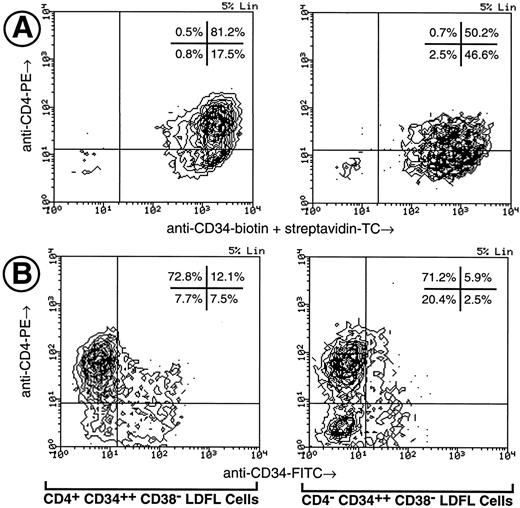 Fig. 3. Analysis of CD4 and CD34 expression on cultured CD4+ CD34++ CD38− Lin− and CD4− CD34++ CD38− Lin− LDFL cells. (A) Fetal liver cells were prepared for FACS by the method described in the legend to Table 1, with the exception that streptavidin-TC was substituted for streptavidin-APC. After 4 days of culture in KL + GM-CSF + EPO, the cultured cells were restained using the same MoAbs as used for cell sorting and analyzed using a FACScan. (B) CD4+ CD34++ CD38− Lin− and CD4− CD34++ CD38− Lin− LDFL cells, isolated by the identical procedure used in Table 1, were reanalyzed after 7 days of culture in KL + GM-CSF. CD34 expression was clearly observed to be greater on the cultured CD4+ cells than on the cultured CD4− cells.