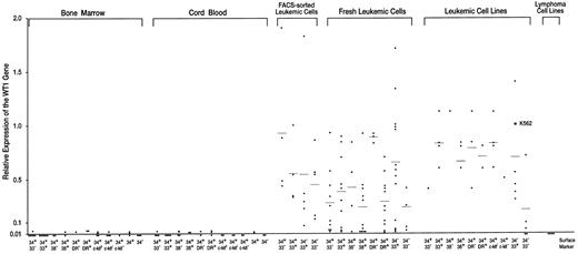 Fig. 3. Expression levels of the WT1 gene in normal hematopoietic progenitor and leukemic cells. Expression levels of the WT1 gene in K562 cells were defined as 1.0.