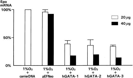 Fig. 6. Effect of the GATA transcription factors on Epo mRNA expression in Hep3B cells. The level of Epo mRNA was measured by competitive PCR as described in the experimental procedures. These results were normalized to the level of Epo mRNA in Hep3B cells incubated in 1% O2 with transfection of carrier DNA only: (□), 20 μg of DNA (n = 4); (▪), 40 μg of DNA (n = 1).