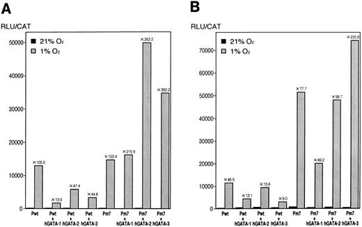 Fig. 8. Effect of hGATA-1, hGATA-2, and hGATA-3 transcription factors on induction of the wild-type and the mutated GATA of the Epo promoter with luciferase reporter in Hep3B cells. (A) Experiment no. 1. (B) Experiment no. 2. The results of total relative light units per CAT units are shown. Numbers above the bars indicate the hypoxic induction.