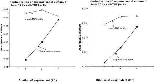 Fig. 5. Neutralization of supernatants of cultures of clones 65 and 67 with anti-TNFβ MoAbs. Supernatants of 4-day cultures of clones 65 and 67 after stimulation of 30 Gy irradiated allogeneic PBLs having DRB1*1502 in the presence of 20 U/mL rIL-2 (initial cell concentration of 2 × 105 cells/mL), which exhibited cytotoxic activity against L929 cells as shown in Fig 4, were incubated with a saturating concentration of anti-TNFβ MoAb for 60 minutes at 37°C. The treated supernatants or nontreated controls were added to monolayers of L929 cells in the presence of 1 μg/mL actinomycin D. After an 18-hour incubation, the viable cells were stained with methylene blue and absorbance at 660 nm was measured.