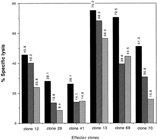 Fig. 6. Blocking of cytotoxic activities of type I and type II clones by anti-Fas MoAb. 51Cr-labeled target cells no. 4 (Table 1) were incubated with 500 ng/mL or 5 μg/mL of anti-Fas MoAb or medium alone for 60 minutes at 37°C. Then effector cells were added at an E:T ratio of 2:1 and a standard 4-hour 51Cr release assay was performed. The percentage of specific lysis is indicated. (▪) Control; (▨) anti-Fas MoAb (500 ng/mL); (▧) anti-Fas MoAb (5 μg/mL). Target: A*2402/3303, B*4403/5201, DRB1*1406/1502, DQB1*0301/06.